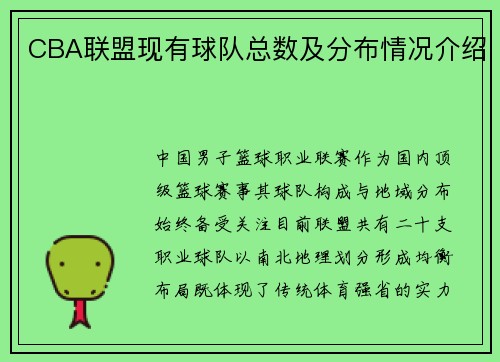 CBA联盟现有球队总数及分布情况介绍
