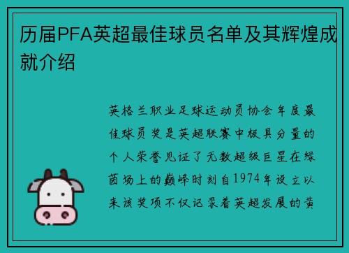 历届PFA英超最佳球员名单及其辉煌成就介绍